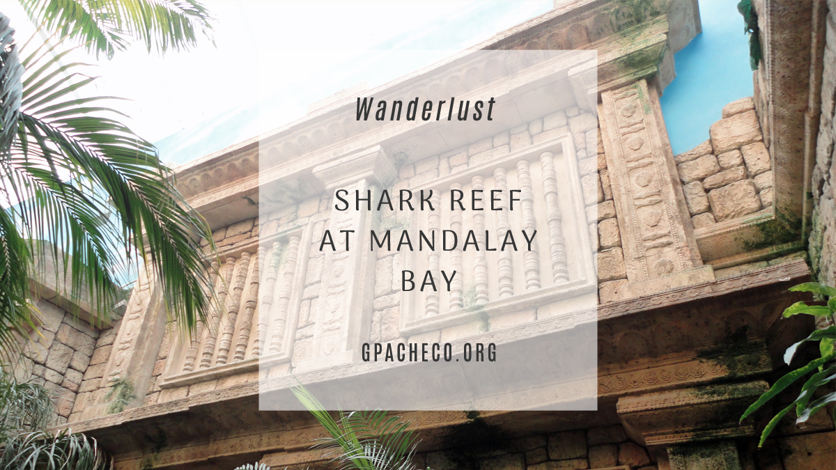 Slanted Suitcase: Shark Reef Aquarium at Mandalay Bay