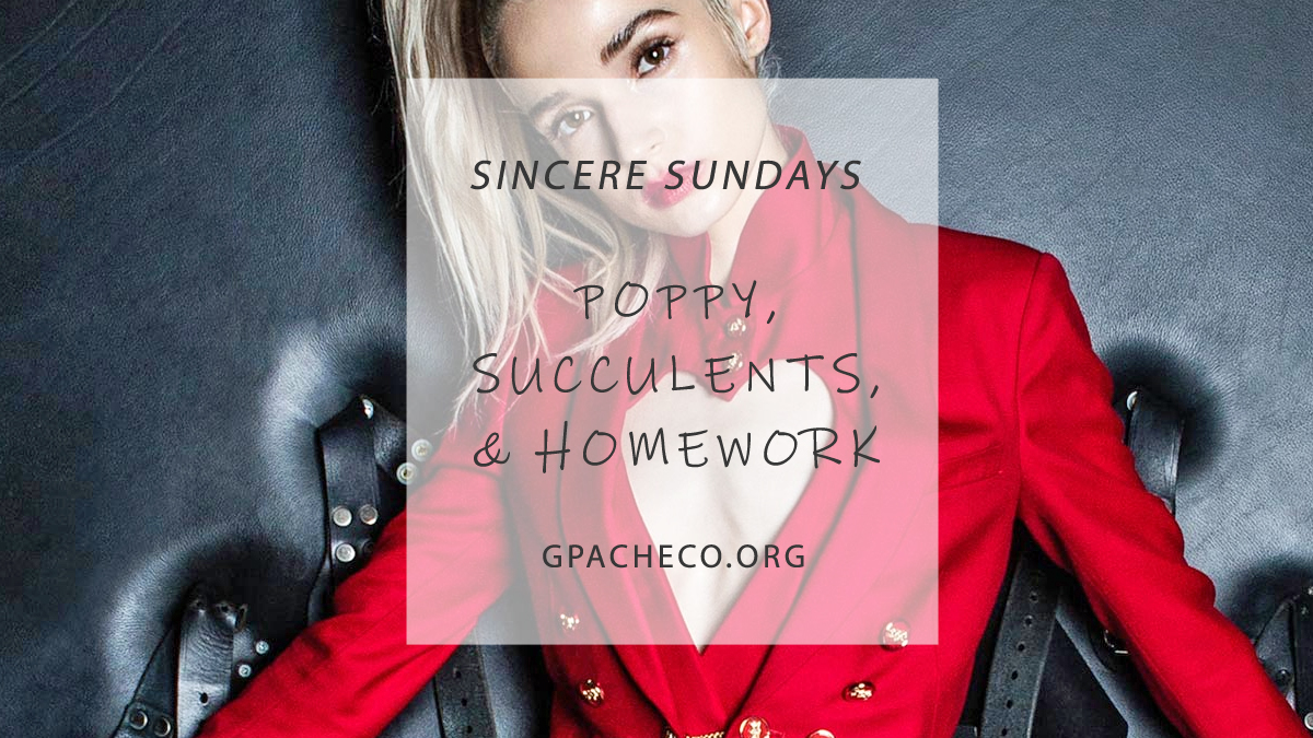 Sincere Sundays: Poppy, succulents, & homework