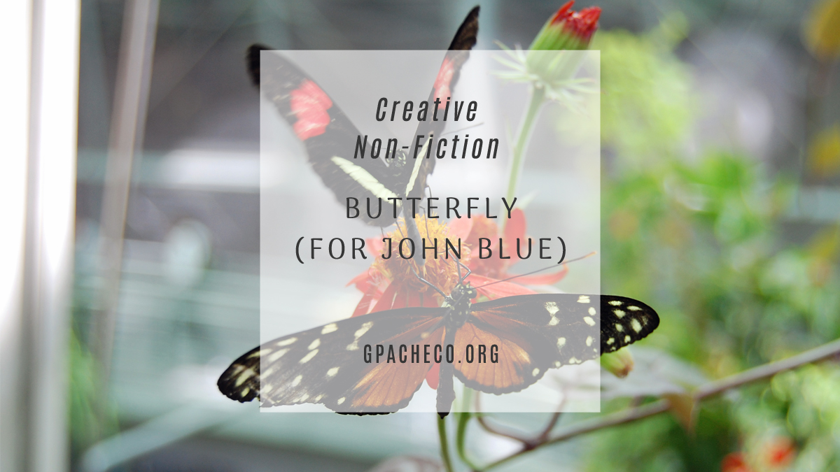 Butterfly (For John Blue)