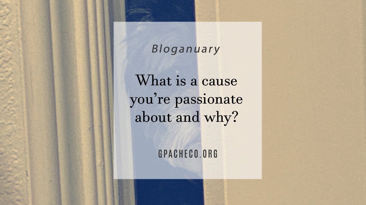 What is a cause you’re passionate about and why?