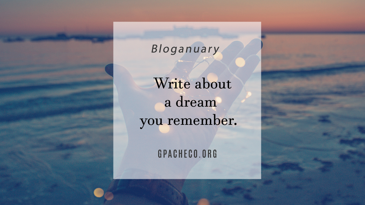 Write about a dream you remember.